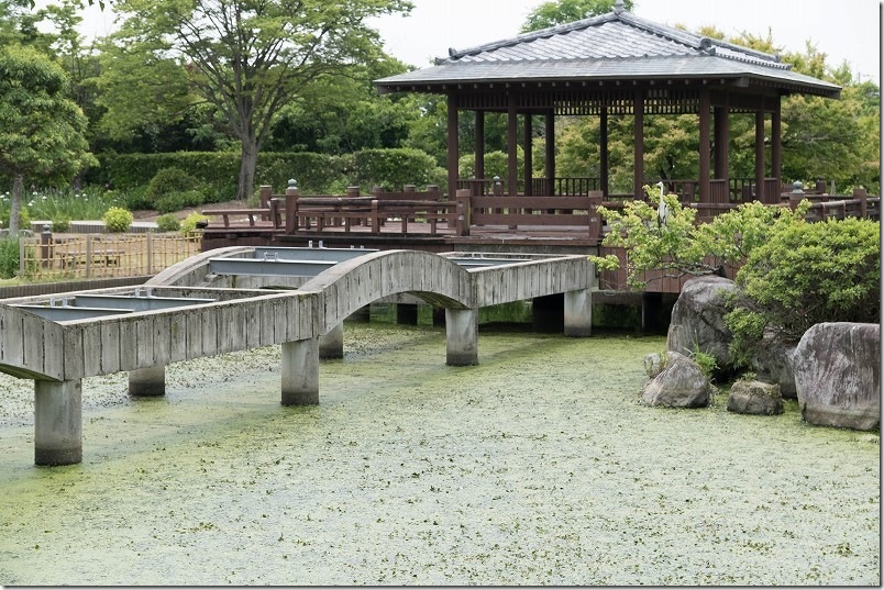 大和中央公園花しょうぶ園を散策 注意点 東屋は渡れない