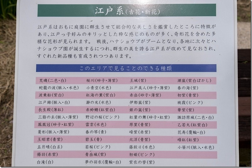 大和中央公園花しょうぶ園 花しょうぶの種類