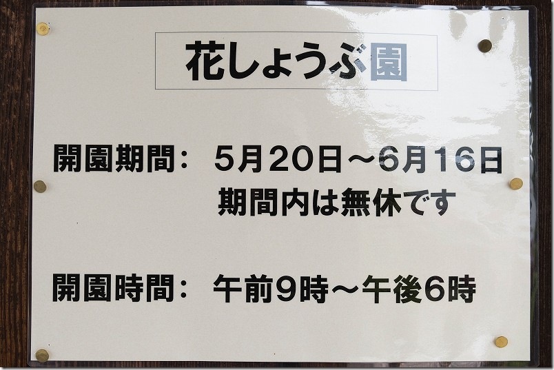 大和中央公園花しょうぶ園【開園期間 開演時間】