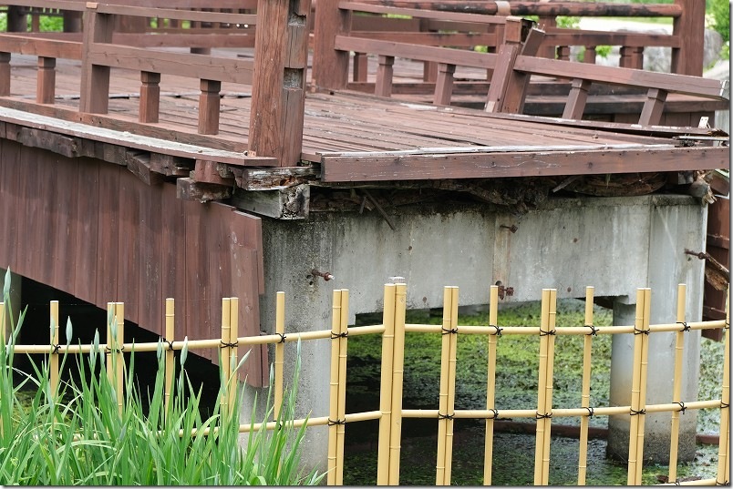 大和中央公園花しょうぶ園を散策 注意点 木道は渡れない