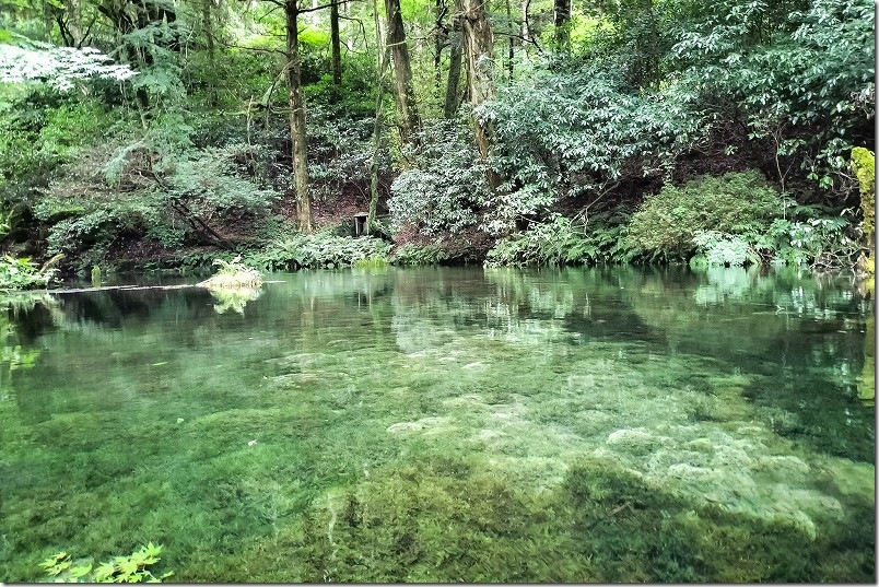 池山水源を散策【夏でも涼しい阿蘇郡産山村の湧水を巡る 所要時間】