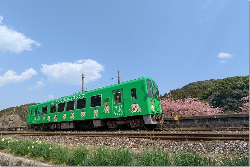 平成筑豊鉄道 崎山駅【河津桜と列車】