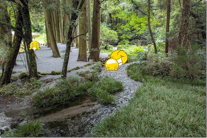 池山水源を散策 湧水ポイント周辺