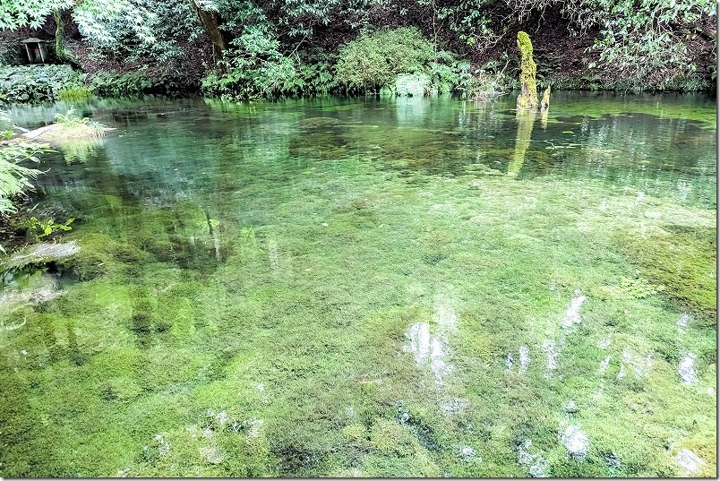 池山水源の湧水ポイント