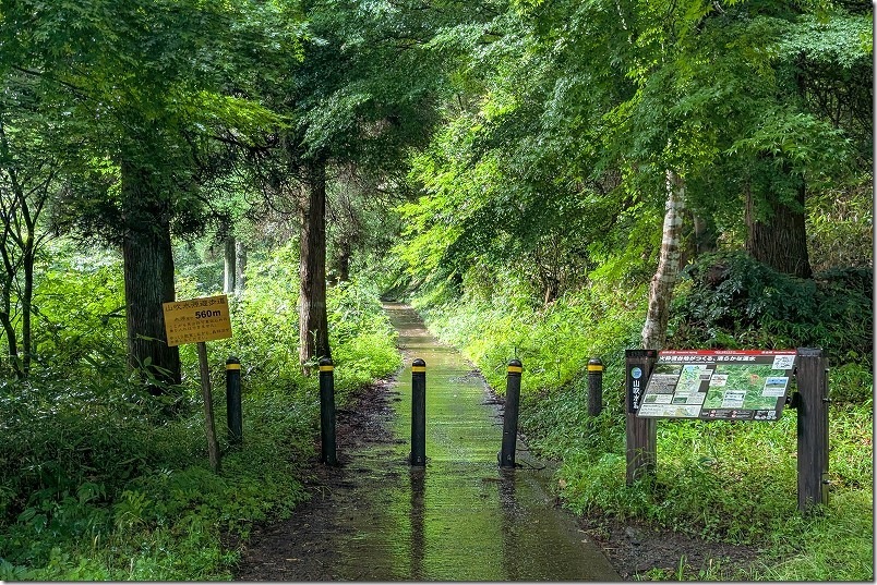 山吹水源を散策 遊歩道入口