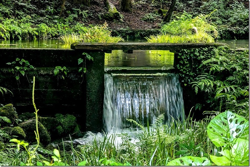 池山水源の湧水ポイント周辺 湧水量