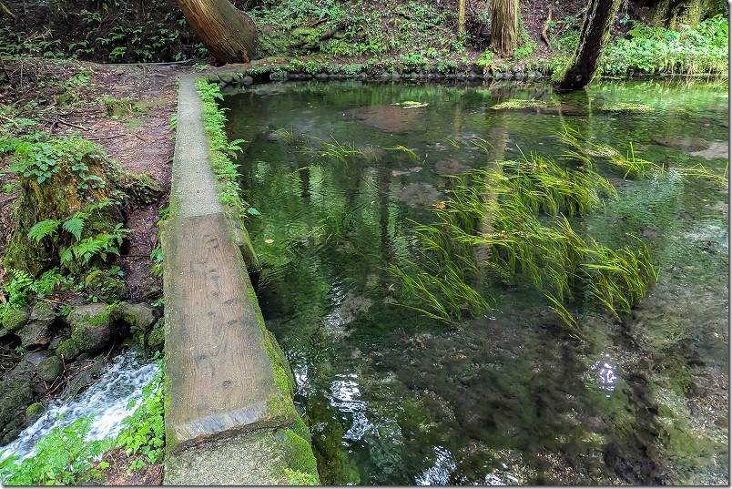 山吹水源を散策【標高820mで夏でも涼しい阿蘇郡産山村の湧水を巡る 所要時間】