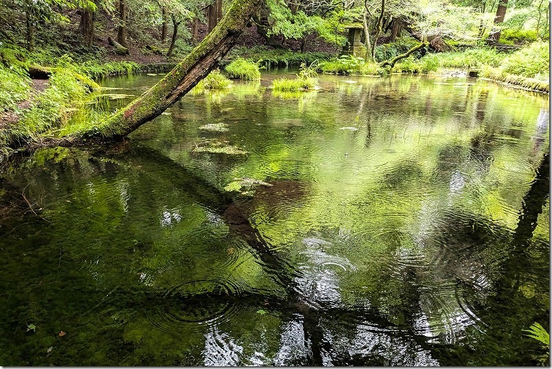 山吹水源の湧水ポイント