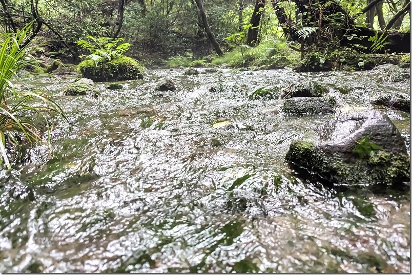 山吹水源を散策 水遊び場所・涼み所