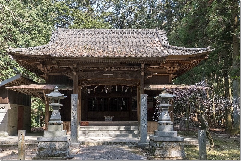 崎山八幡神社の本殿と「しだれ梅」