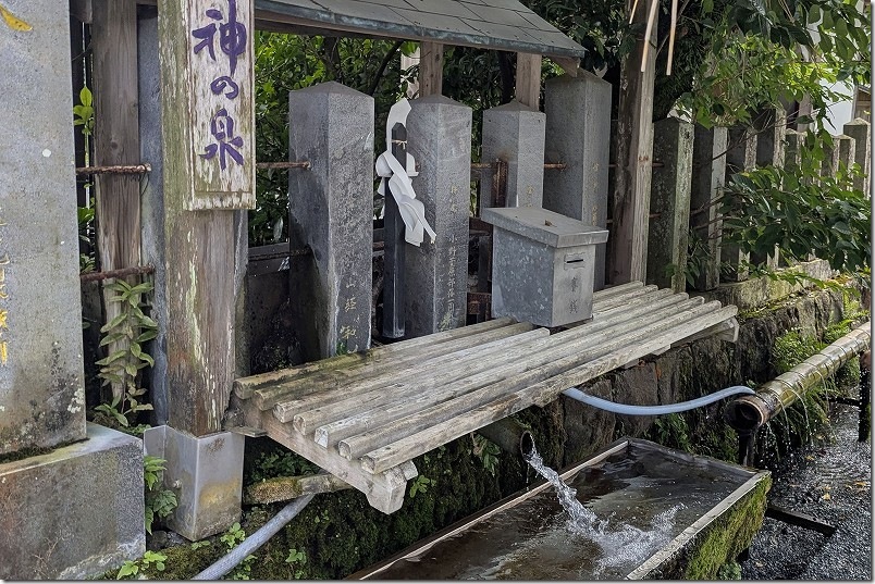 阿蘇神社 境内に湧く湧水 神の泉
