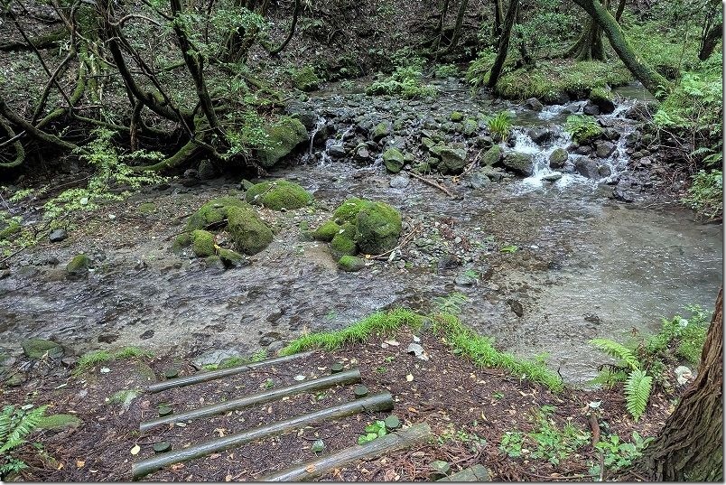 山吹水源を散策 水遊び場所・涼み所