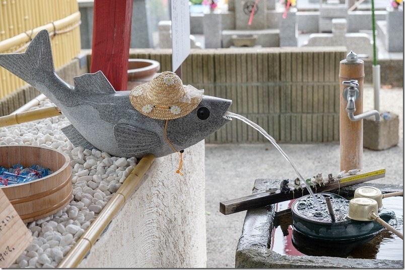 めだか寺 めだかの手水舎 めだかオブジェから水がでてる
