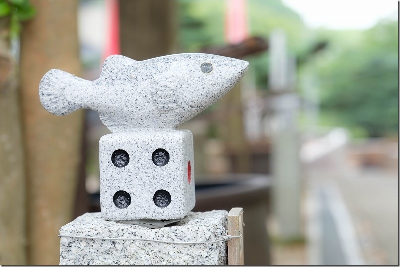 めだか寺 本堂から寺務所（庫裡）へ サイコロめだか