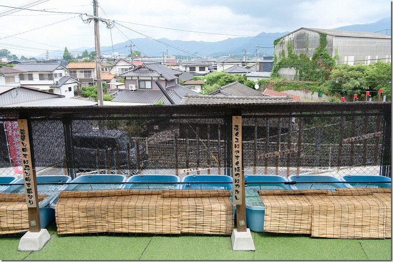 めだか寺の50種・1万匹のめだか達 水槽