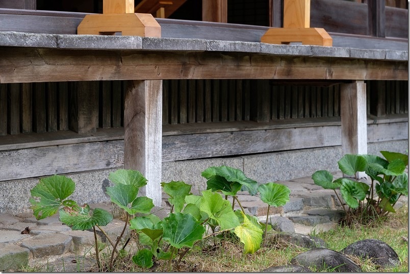 旧蔵内邸の匠 床下の異なる建物土台