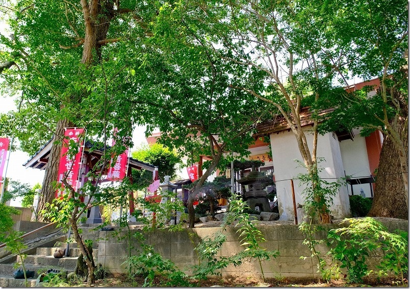 めだか寺 階段を登って本堂へ