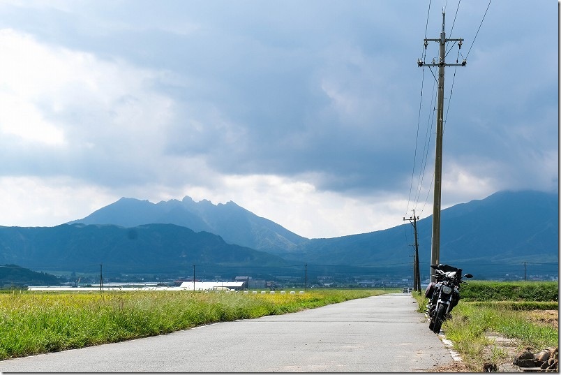 幸せの一本道 橋の上付近 始点から1.2K程度 幸せの一本道と撮影ポイント