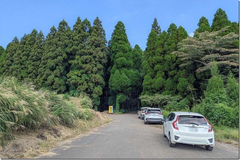 波多そばの花畑 側道沿い駐車スペース