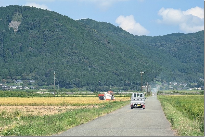 幸せの一本道 始点から2.1程度 国造神社方面