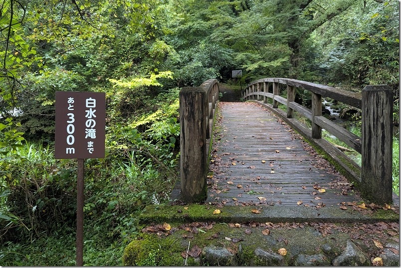 白水の滝 遊歩道 大野川源流の碑から約300m