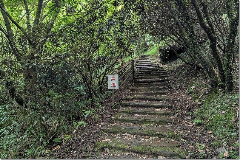 白水の滝 遊歩道を散策 母滝から白水の滝 石段の登坂