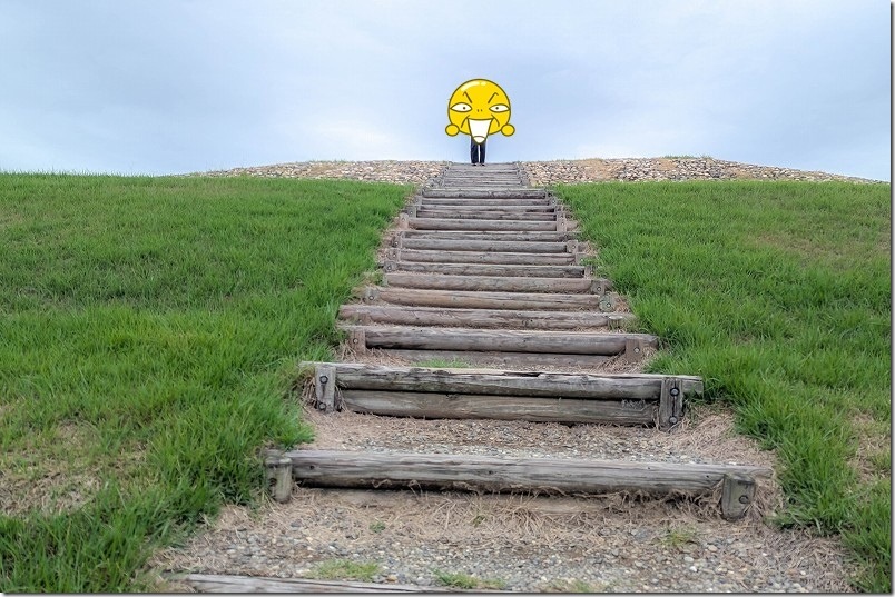 亀塚古墳を登ってみた【想像以上に大きかった】