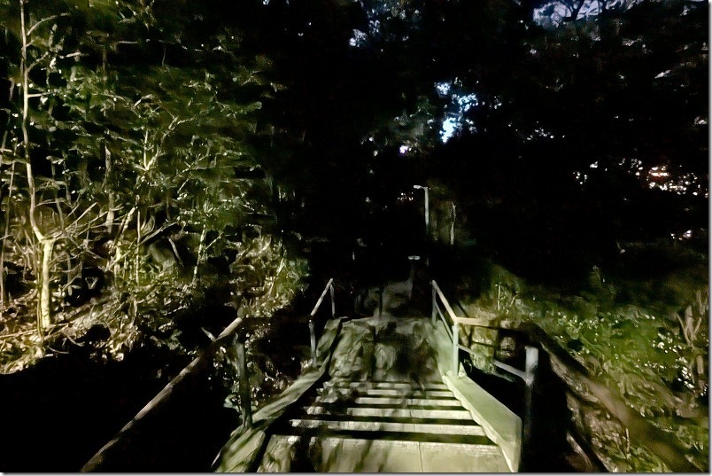 鍋冠山展望台から石橋停留場までの夜道 真っ暗