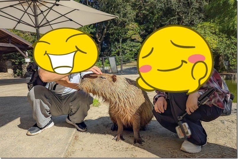 癒し効果抜群！触れ合えるカピパラ！ 長崎バイオパーク