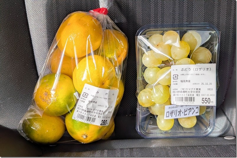 道の駅 おおとう桜街道で買い物 みかん 280円、ぶどう 550円