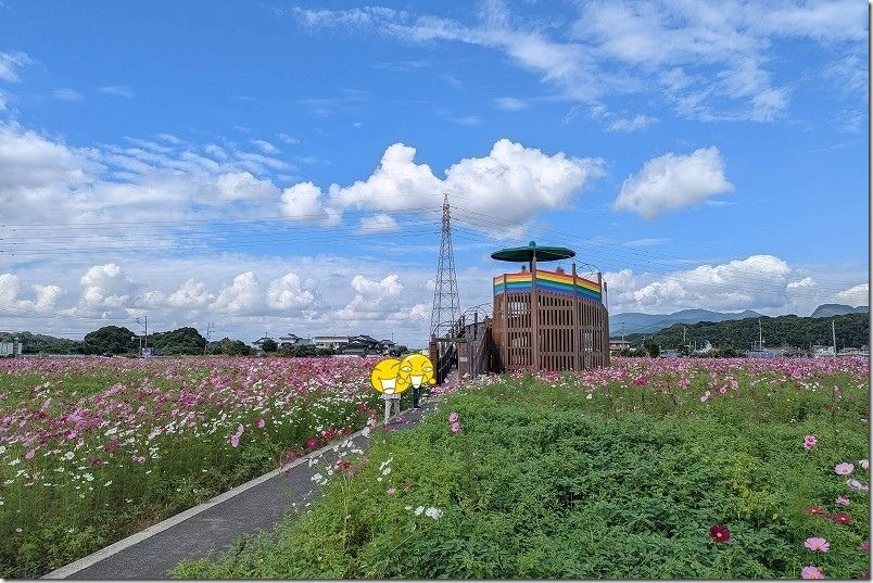 おおとう桜街道 花公園 展望台へ登る
