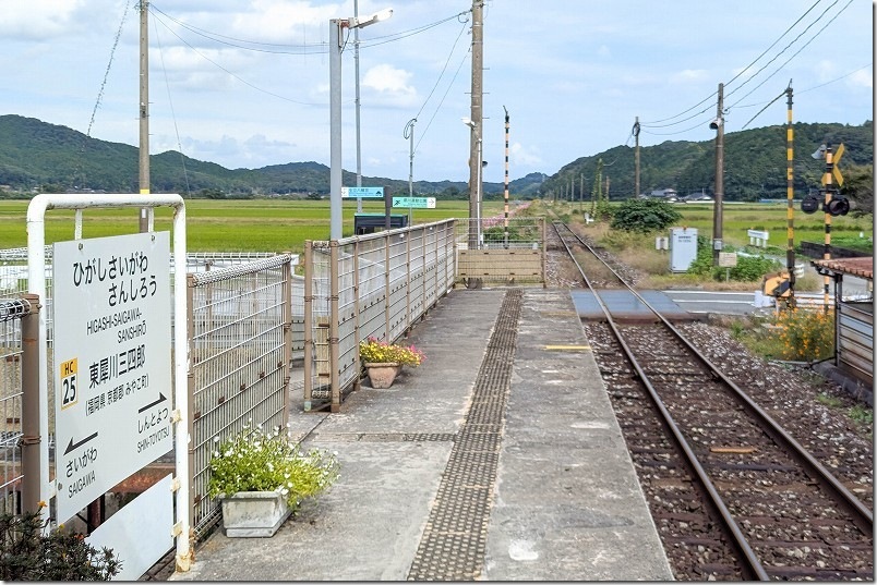 東犀川三四郎駅のホームから見たコスモスの道