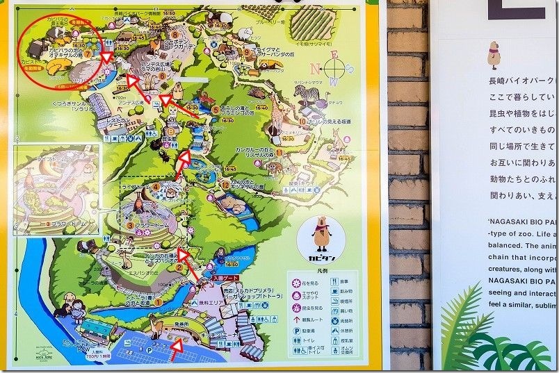 カピパラまでの園内MAP 長崎バイオパーク