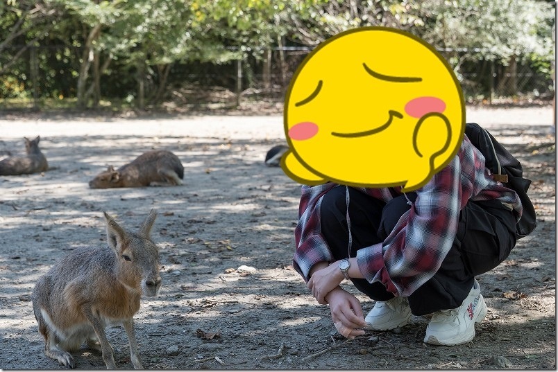 長崎バイオパーク マーラ【ふれあい体験】 長崎バイオパーク マーラ【ふれあい体験】
