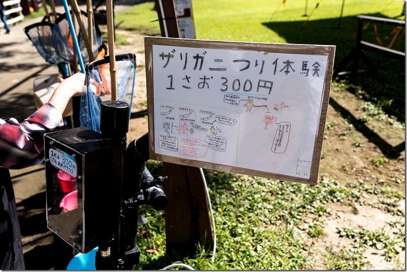 長崎バイオパーク ザリガニつり体験 300円で楽しむ!【釣るのコツが要るかも!】 長崎バイオパーク ザリガニつり体験 300円で楽しむ!【釣るのコツが要るかも!】