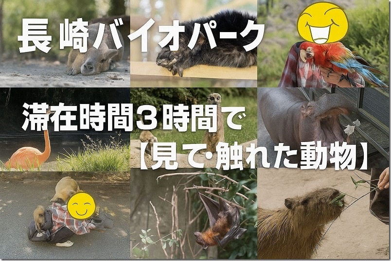 長崎バイオパーク【滞在時間3時間で見て触れた動物】 長崎バイオパーク【滞在時間3時間で見て触れた動物】