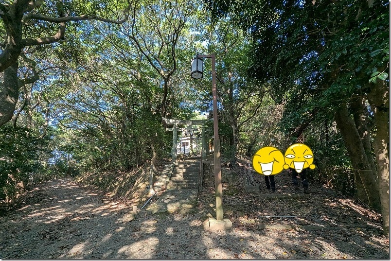 百合ケ岳公園展望台から見えたオブジェ「星のなる木」まで探索