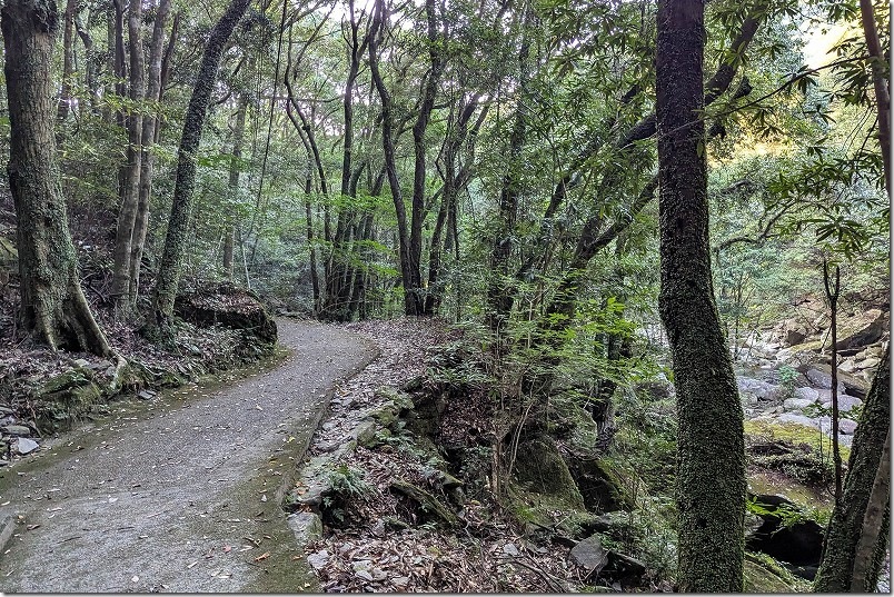 駐車場から「つがね落としの滝」まで散策 遊歩道の渓流沿い