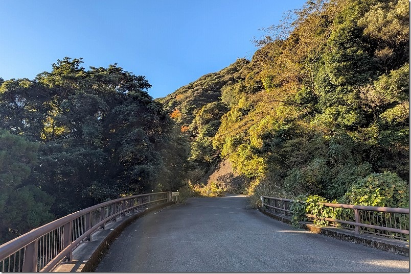からほけ谷大橋のループ橋の両端は普通の林道（蛤岳横断線）