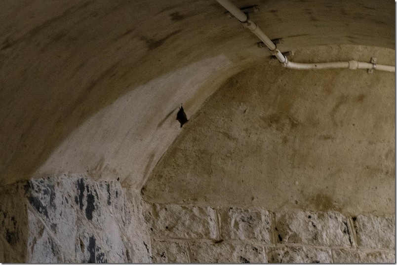 石原岳堡塁 地下の洞窟でコウモリと遭遇 石原岳堡塁 地下の洞窟でコウモリと遭遇