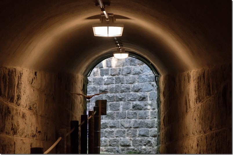 石原岳堡塁 地下通路でコウモリが飛来 石原岳堡塁 地下通路でコウモリが飛来