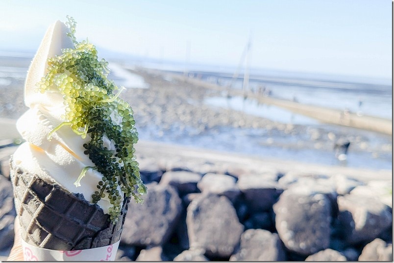 海ぶどうソフトクリーム 長部田海床路
