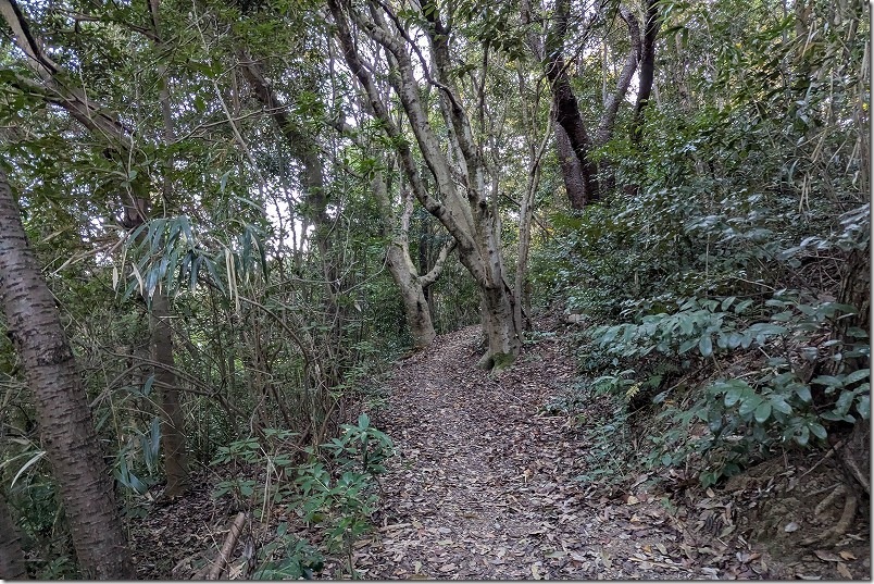 旧三角簡易裁判所から展望台まで散策 すごい山道 旧三角簡易裁判所から展望台まで散策 すごい山道