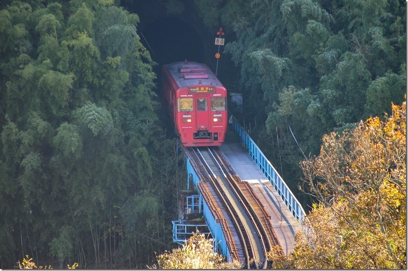 久大本線 森のトンネルで撮影 普通列車(キハ220-209) 久大本線 森のトンネルで撮影 普通列車(キハ220-209)