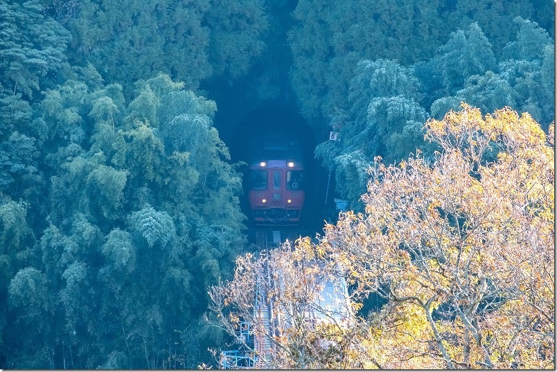 久大本線 森のトンネルで撮影 特急ゆふ2号(キハ185) 久大本線 森のトンネルで撮影 特急ゆふ2号(キハ185)