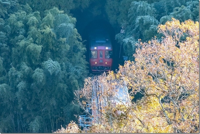 久大本線 森のトンネルで撮影 特急ゆふ2号(キハ185) 久大本線 森のトンネルで撮影 特急ゆふ2号(キハ185)
