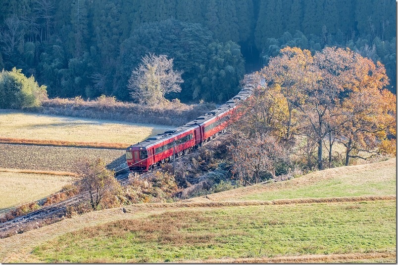 久大本線 森のトンネルで撮影 特急ゆふ1号(キハ185) 久大本線 森のトンネルで撮影 特急ゆふ1号(キハ185)