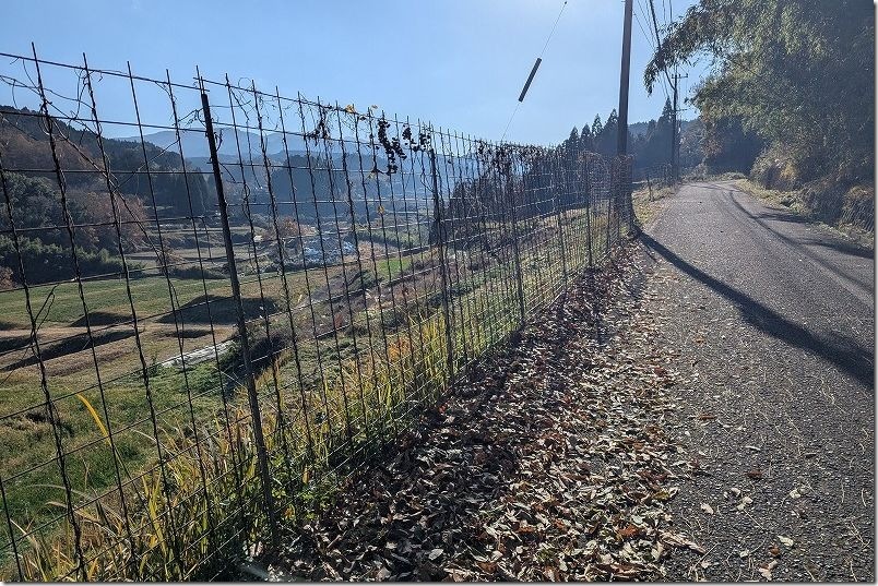 久大本線 森のトンネルの撮影場所・駐車スペース 久大本線 森のトンネルの撮影場所・駐車スペース