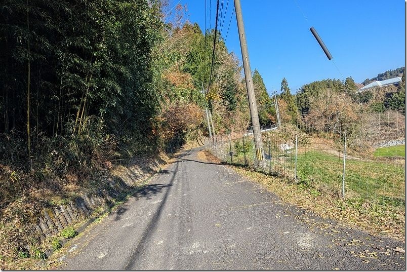 久大本線 森のトンネルの撮影場所・駐車スペース 久大本線 森のトンネルの撮影場所・駐車スペース