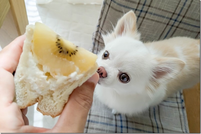 平日の姪浜駅をぶらっと散策｜「tanma co tanma」でフルーツサンドをテイクアウト